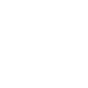 Bur